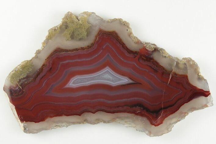 Polished Banded Agate Slice - Mexico #198176